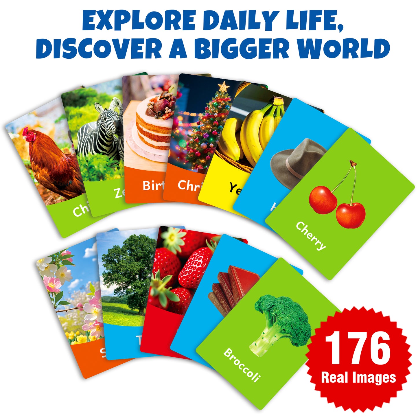 96 Jumbo Toddler Flash Cards, 10 Topics, 176 Real Images, Double-sided