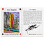 Los Angeles - Aaron Trotter Illustrated Playing Cards