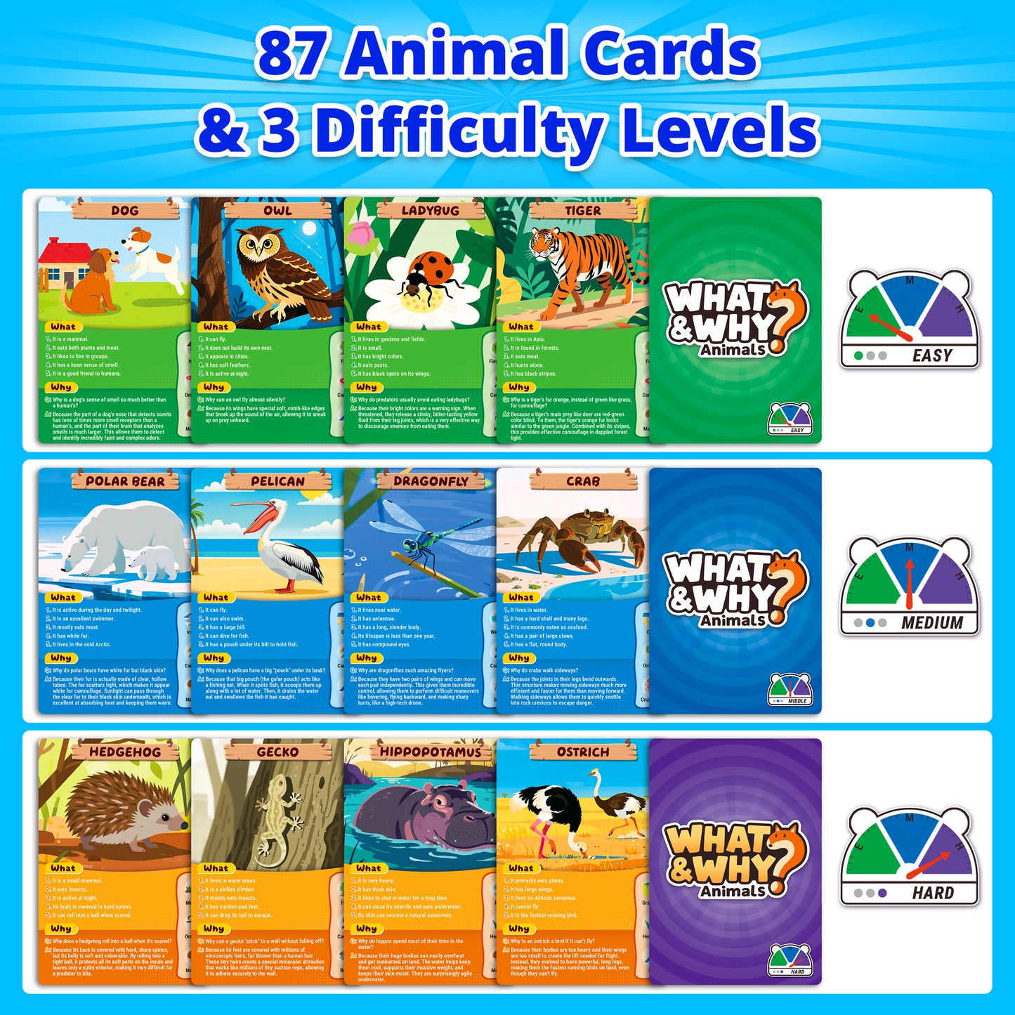 What&Why? Guess The Animal Card Game, 87 Jumbo Cards with The Bell