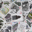 Los Angeles - Aaron Trotter Illustrated Playing Cards