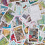 Napa Valley - Aaron Trotter Illustrated Playing Cards