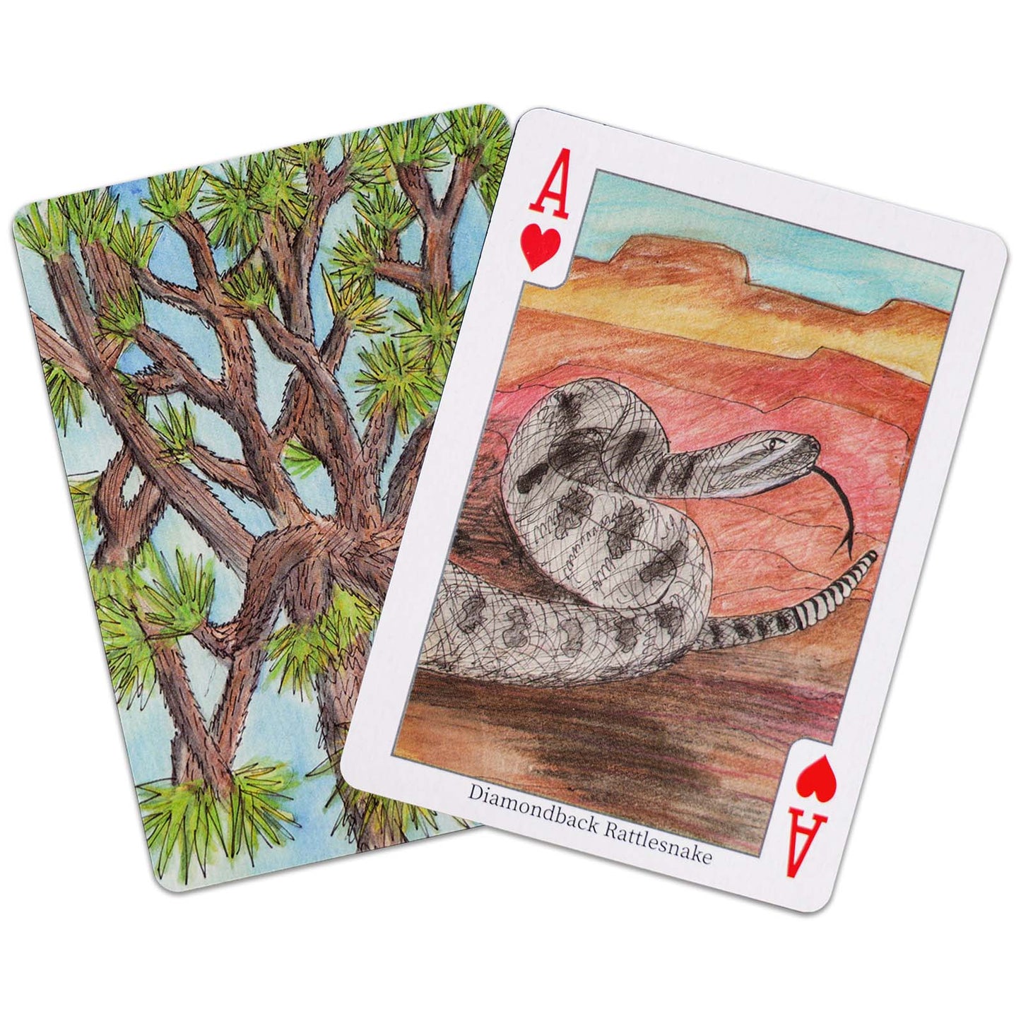 Joshua Tree - Aaron Trotter Illustrated Playing Cards