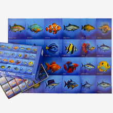 Fishes, 24 Mini Pack 1000 Pieces Puzzles