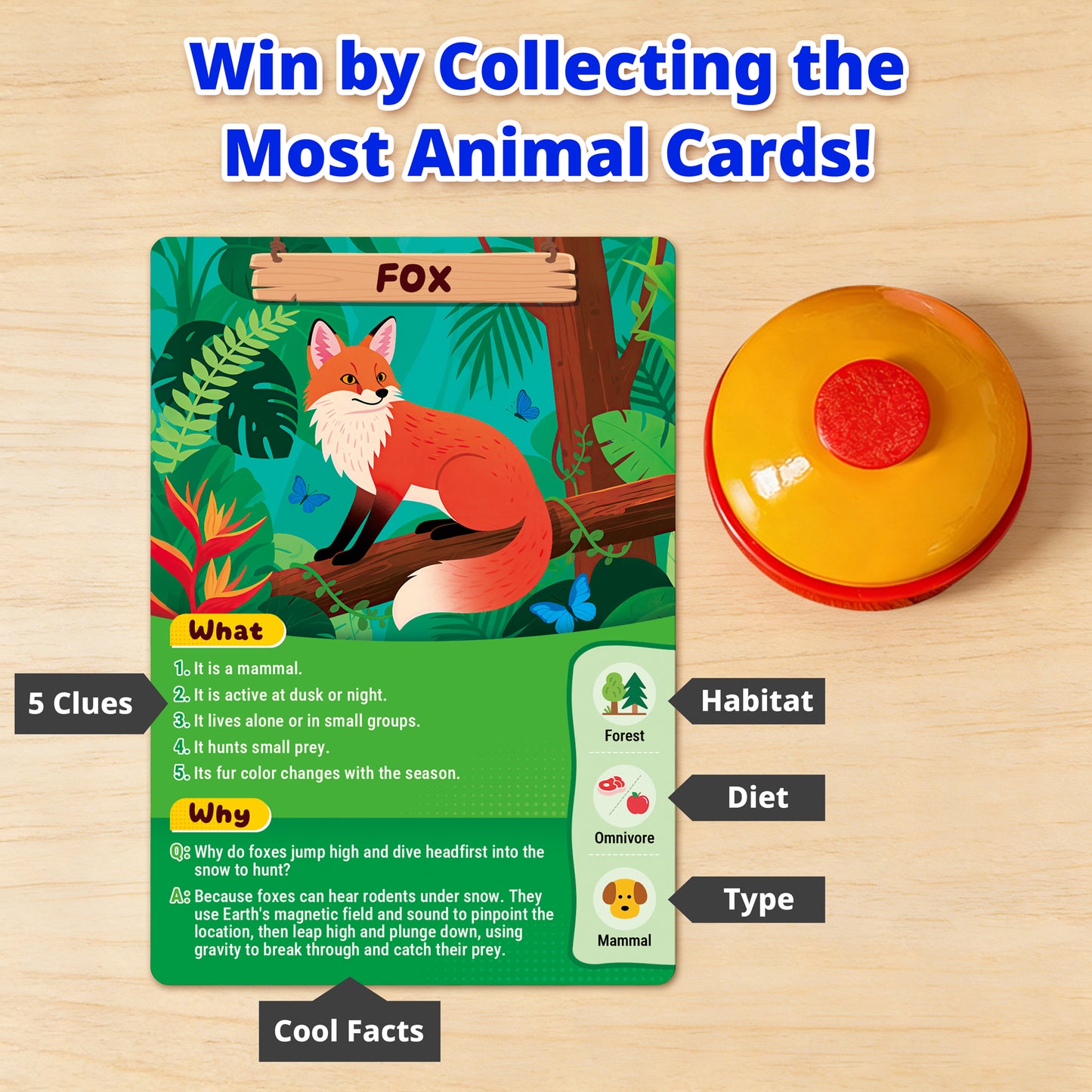 What&Why? Guess The Animal Card Game, 87 Jumbo Cards with The Bell